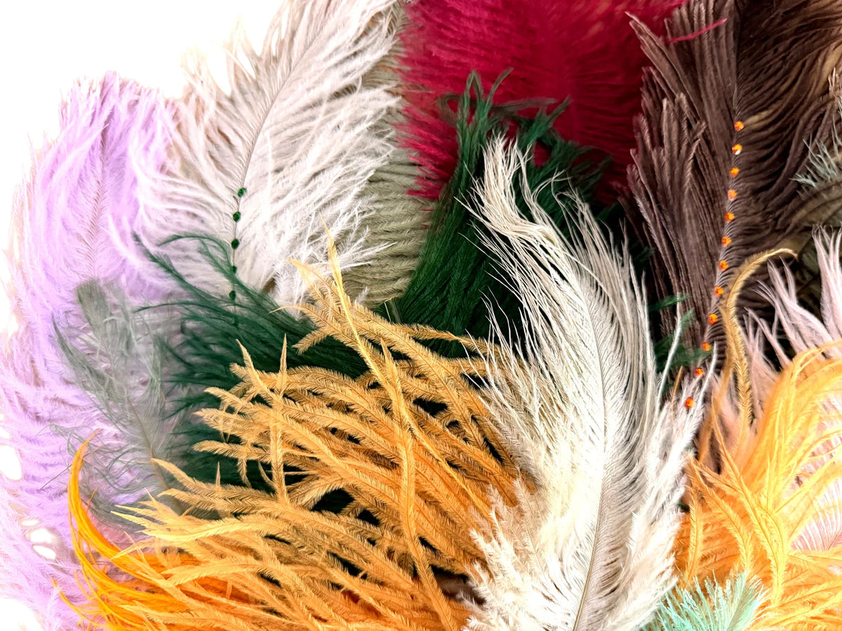 Collection 86 - Mix Random Feather Sample Pack (Bulk)