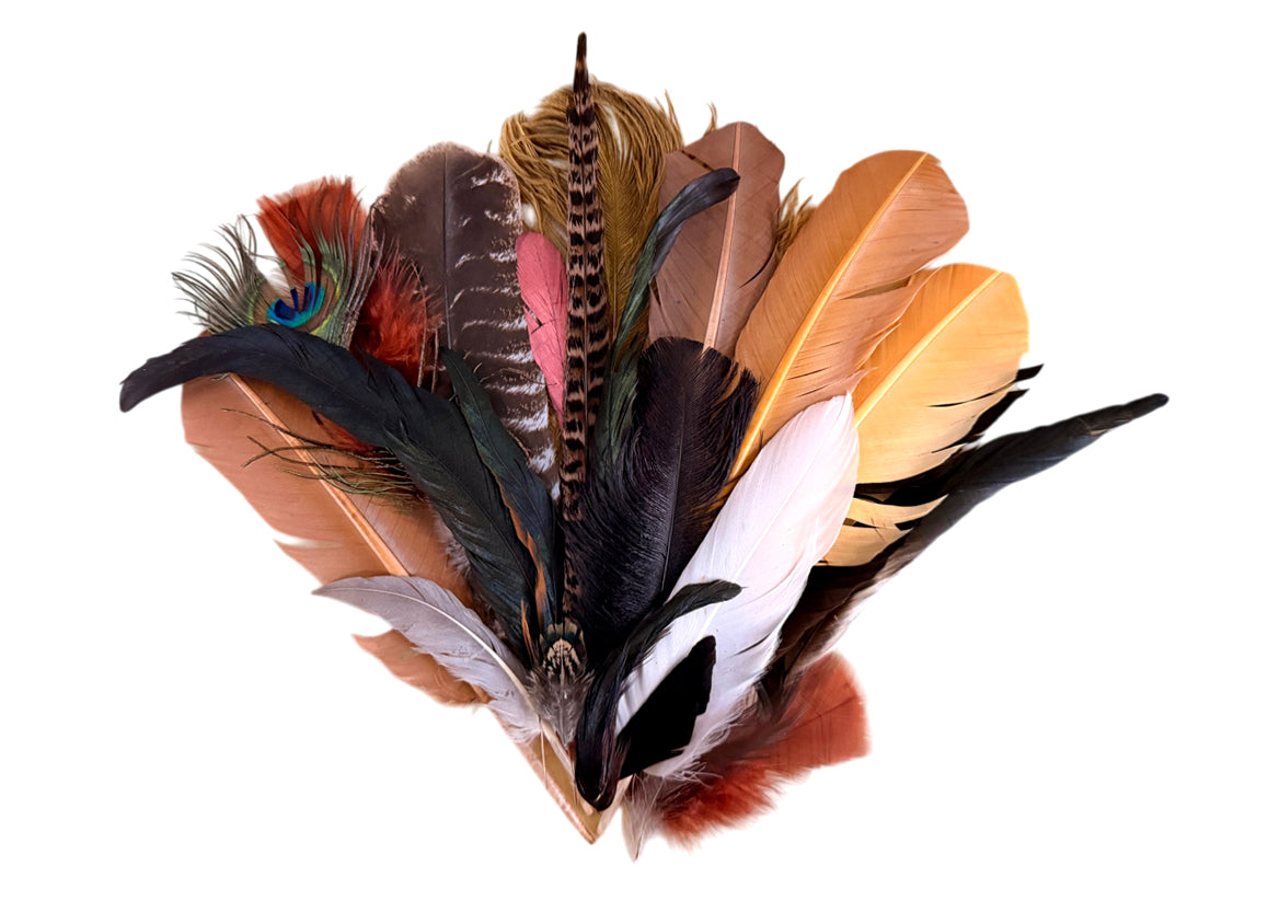 Collection 111 - Mix Random Feather Sample Pack (Bulk)