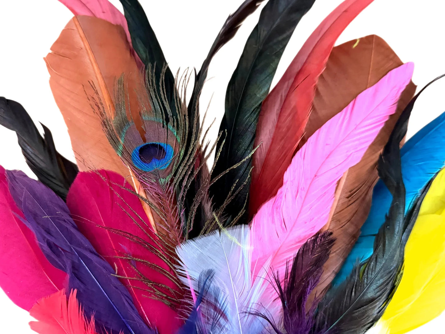 Collection 115 - Mix Random Exotic Feather Sample Pack (Bulk)