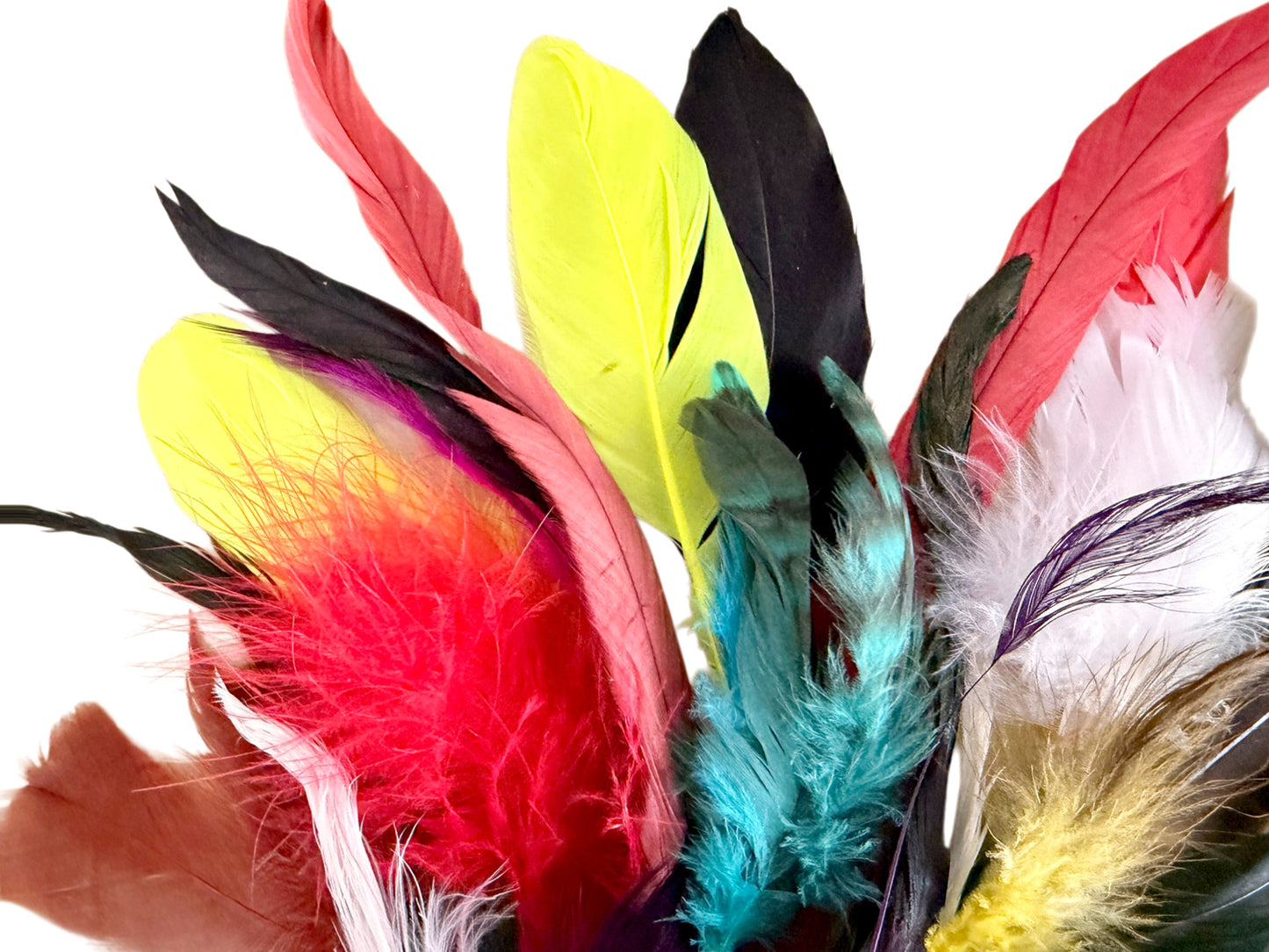 Collection 76 - Mix Random Feather Sample Pack (Bulk)