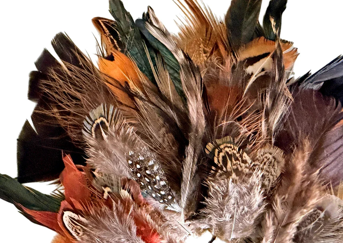 Collection 113 - Mix Random Feather Sample Pack (Bulk)