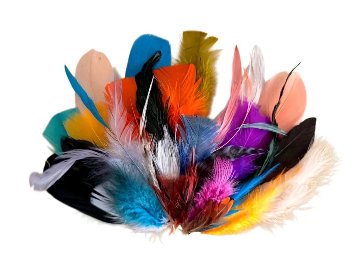 Collection 87 - Mix Random Feather Sample Pack (Bulk)