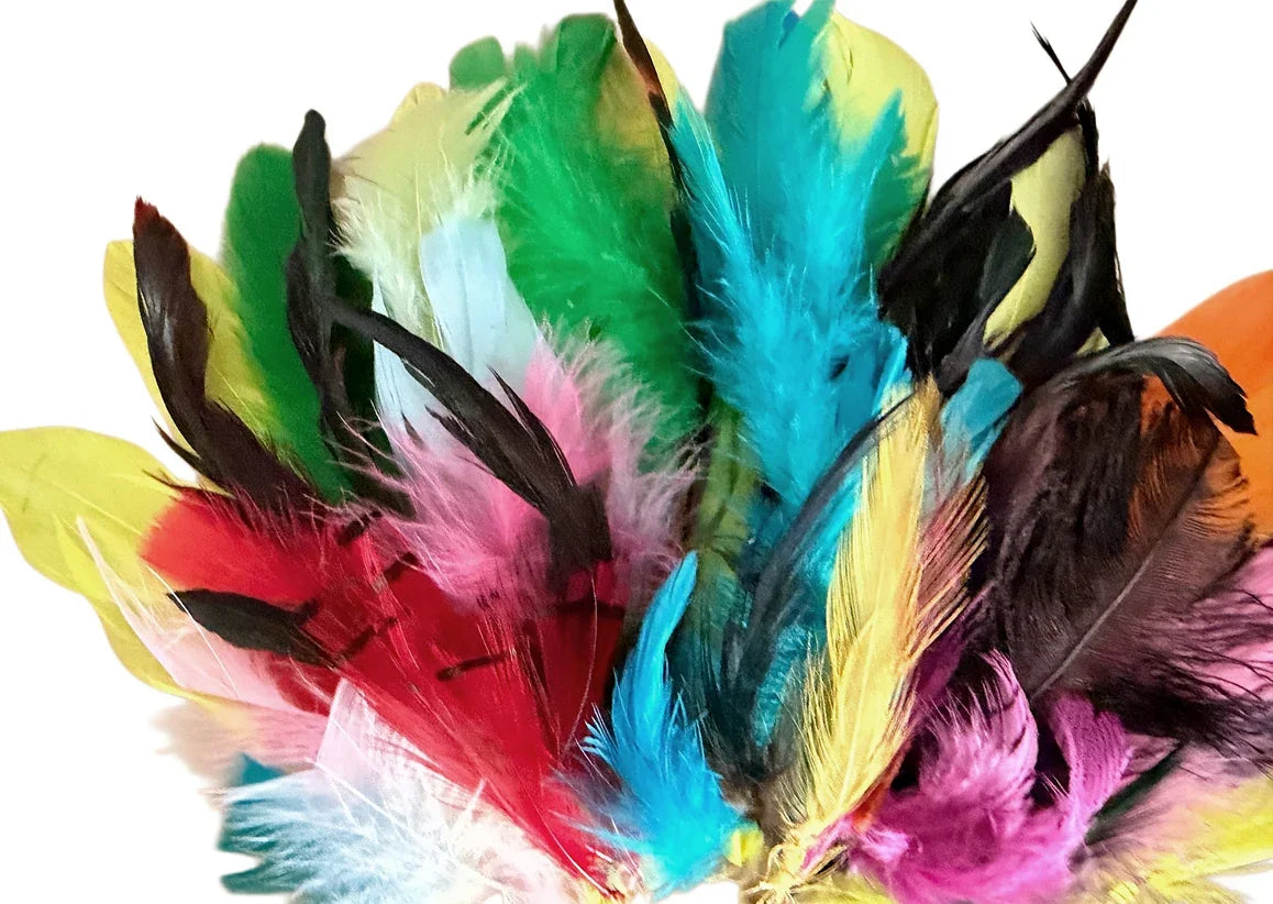 Collection 98 - Mix Random Feather Sample Pack (Bulk)