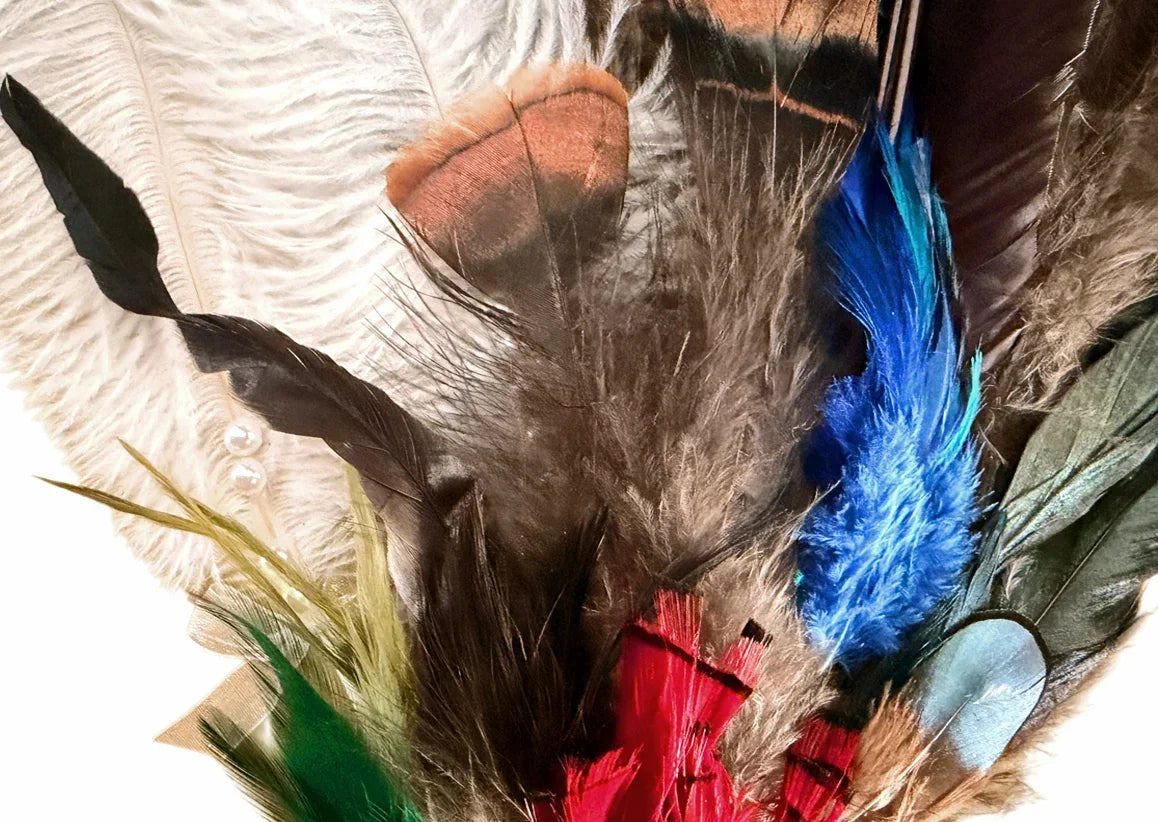 Collection 96 - Mix Random Feather Sample Pack (Bulk)