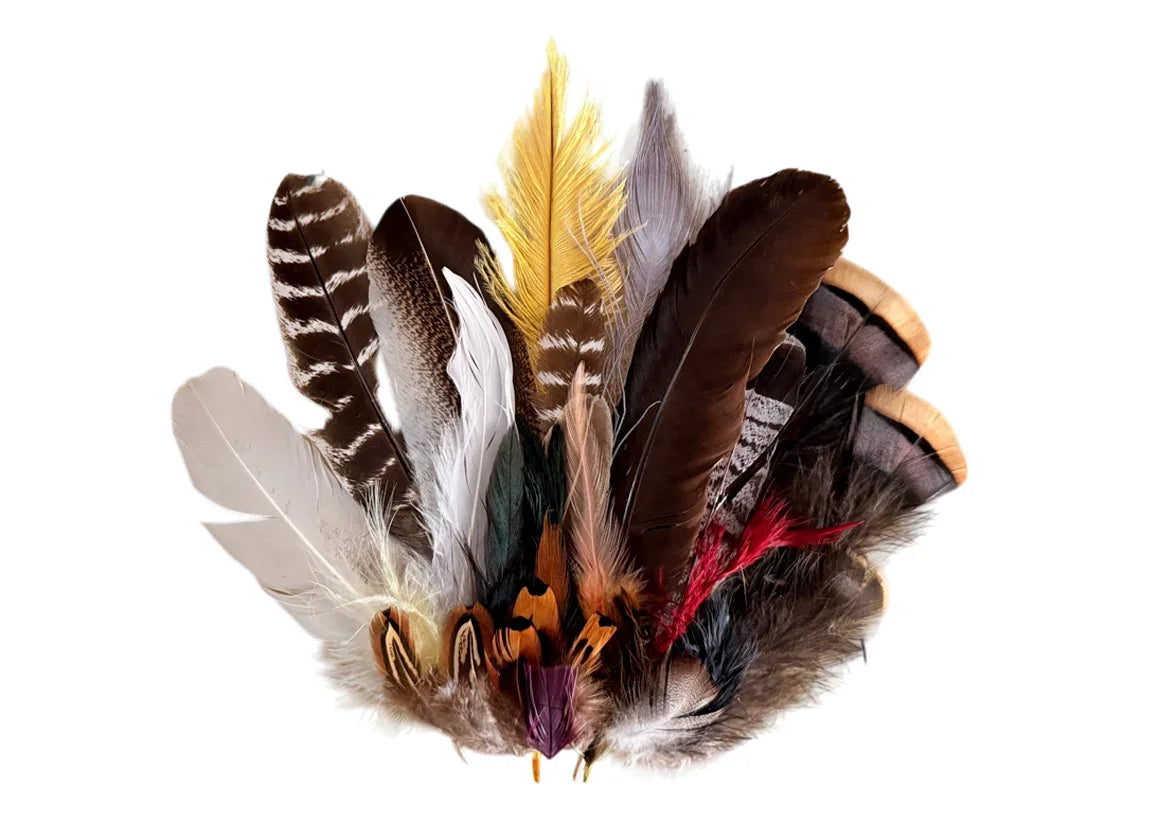 Collection 73 - Mix Random Feather Sample Pack (Bulk)