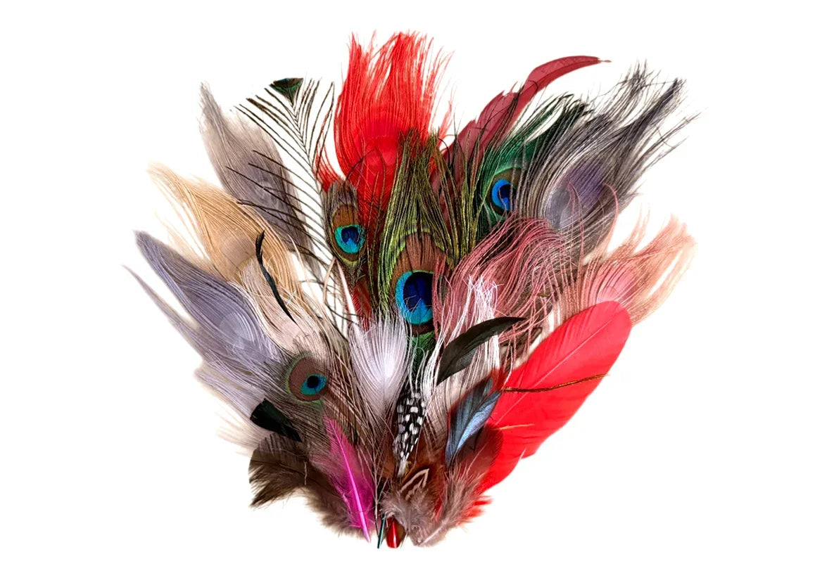 Collection 117 - Mix Random Feather Sample Pack (Bulk)