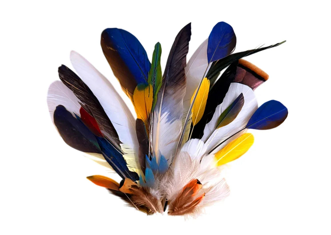 Collection 95 - Mix Random Feather Sample Pack (Bulk)