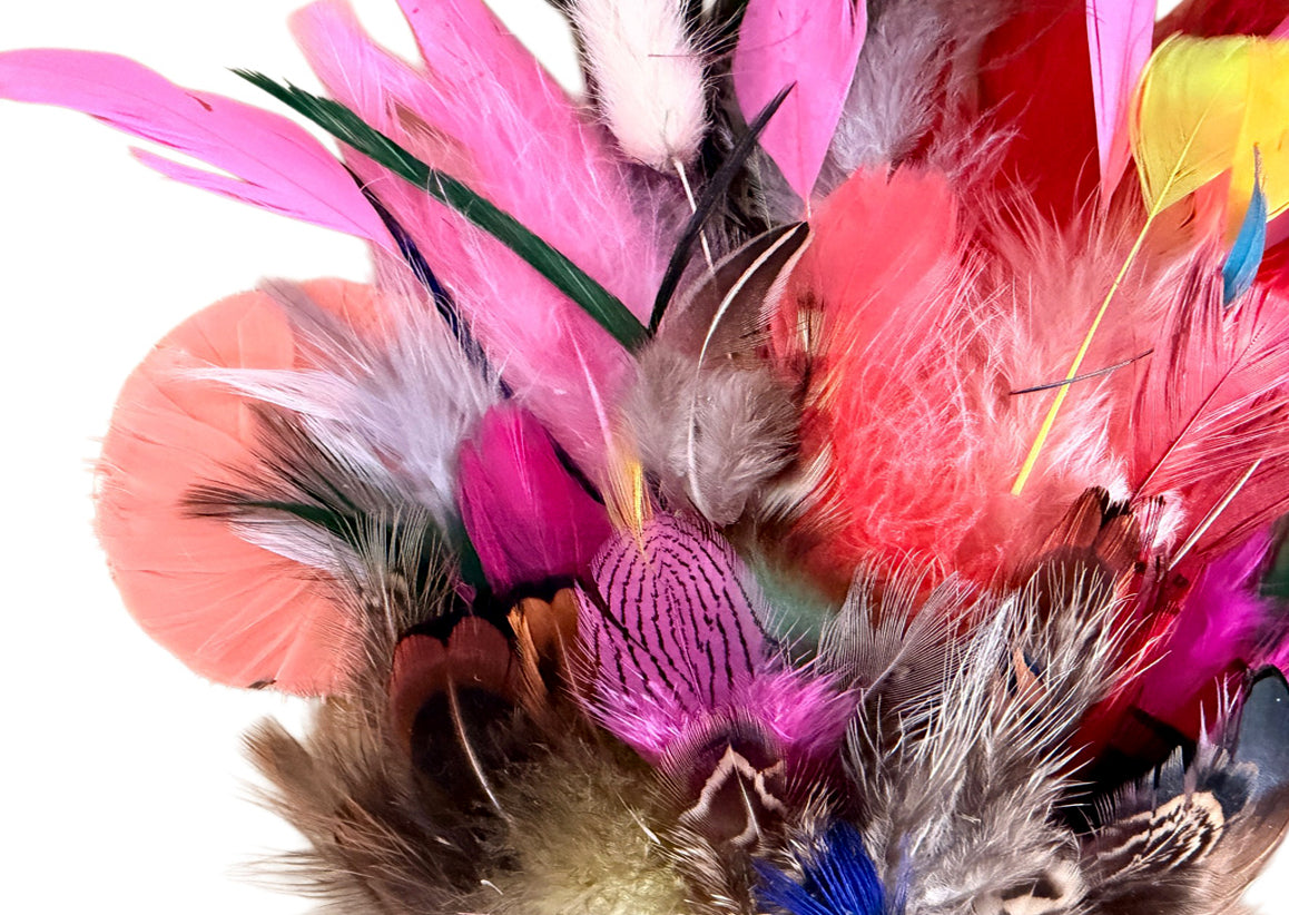 Collection 61 - Mix Random Feather Sample Pack (Bulk)
