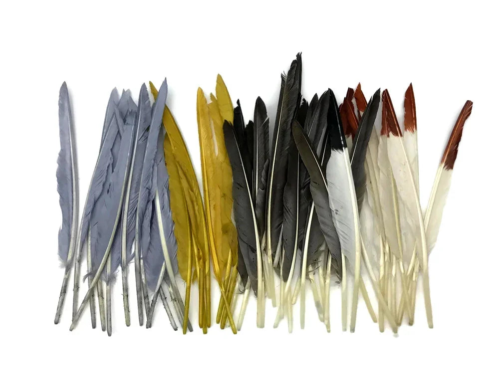 1 Pack - Brown Duck Primary Wing Pointer Feathers 0.50 Oz.