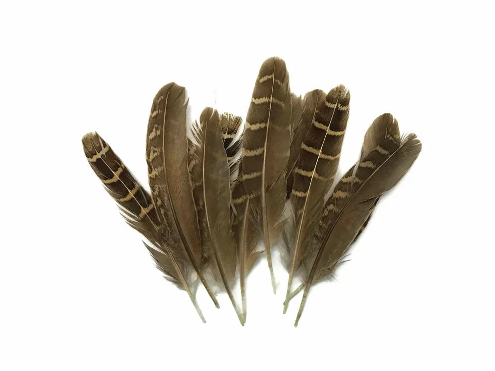 Set of natural brown striped feathers for DIY crafts and fashion decor.