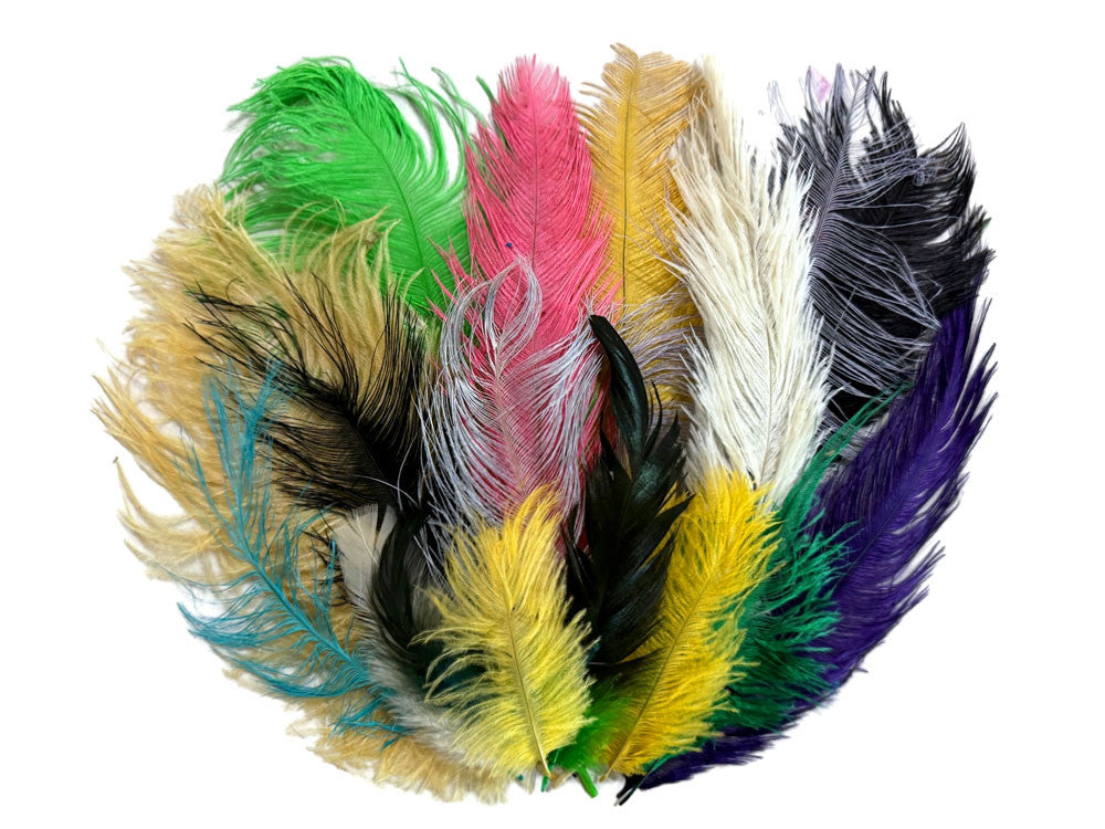 Collection 86 - Mix Random Feather Sample Pack (Bulk)