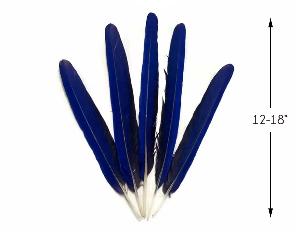 Set of five long cobalt blue feathers, 12-18 inches, for crafts and fashion DIY.