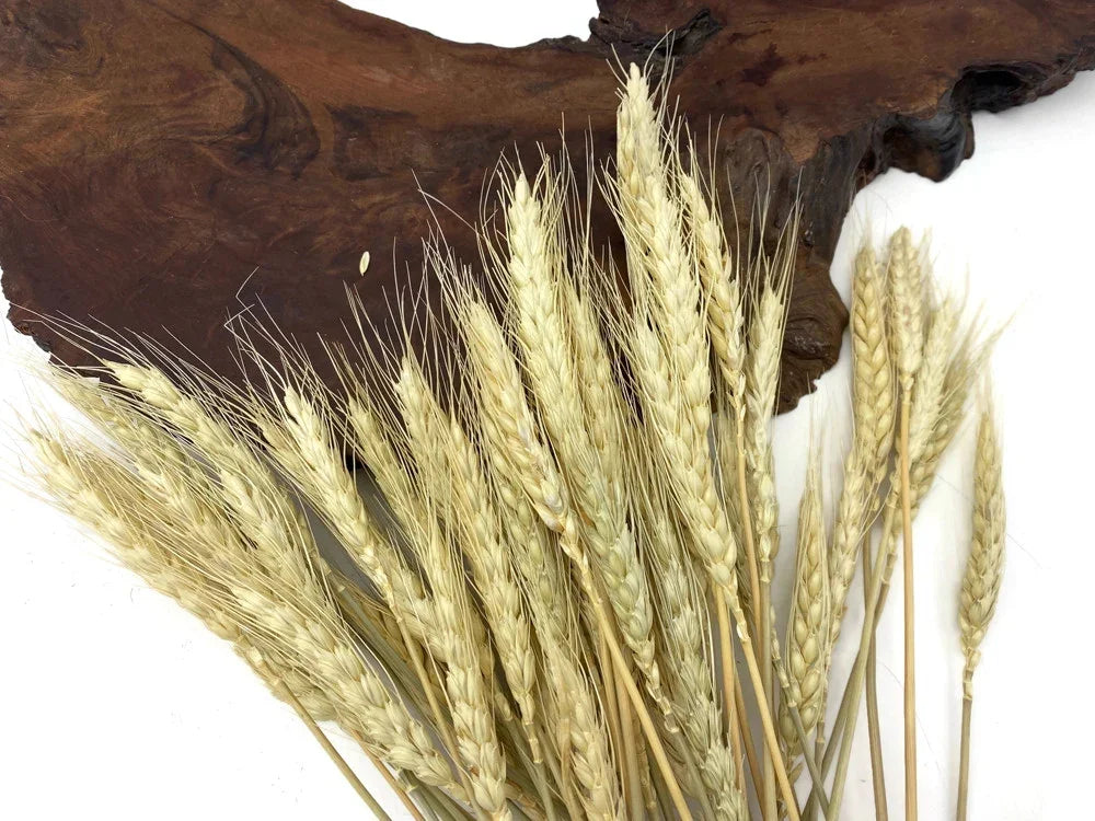 Dried wheat stalks arranged against a dark natural wood background for rustic decor.