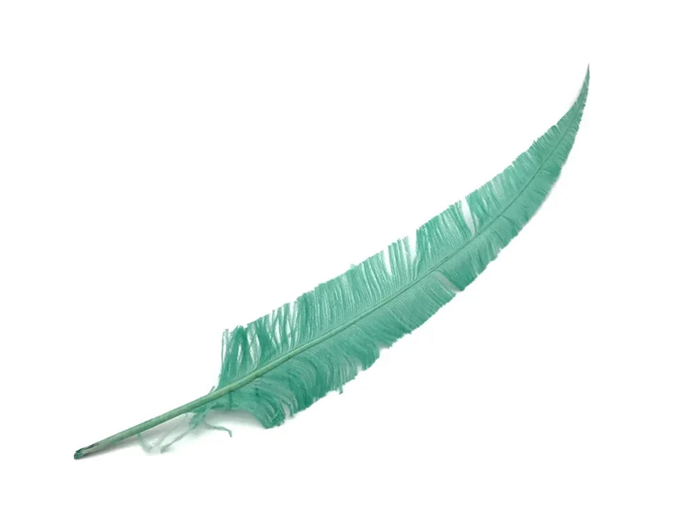 Single teal green feather for DIY crafts and fashion accessories on a white background.