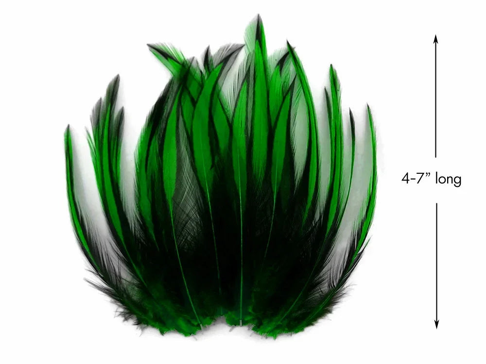 Vibrant green and black decorative feathers for crafts, 4-7 inches long.