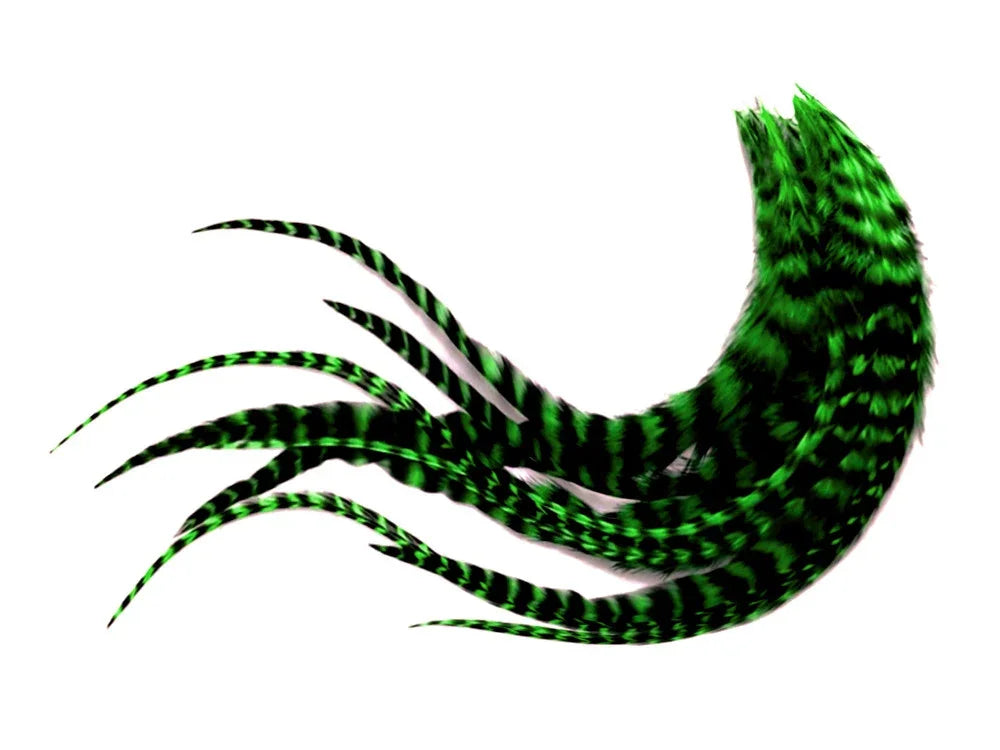 Vibrant green and black striped decorative feathers for crafts and fashion DIY.