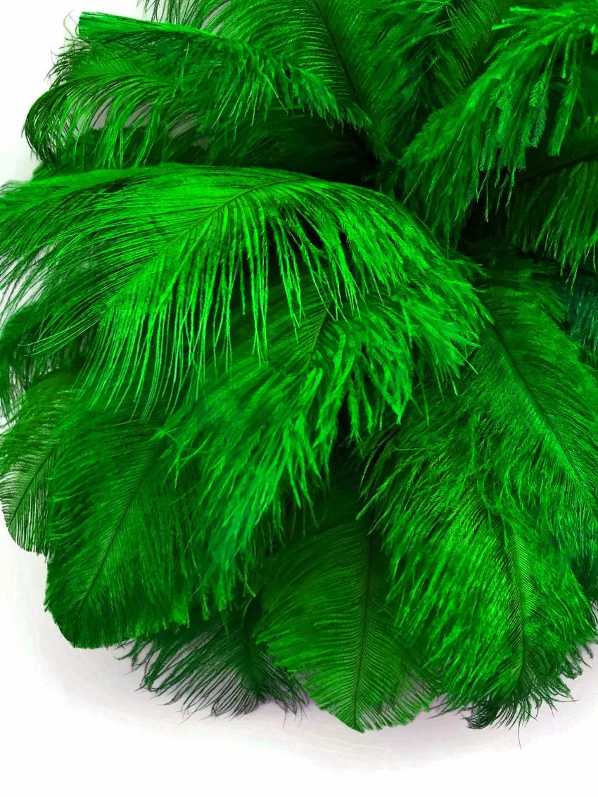 Vibrant green ostrich feathers for fashion, crafts, and DIY décor decorations.