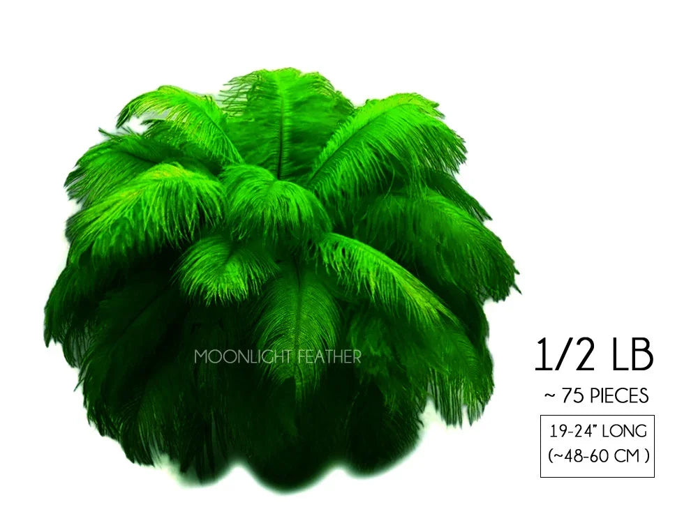 Vibrant green ostrich feathers for crafts and decor, 75 pieces, 19-24 inches long.
