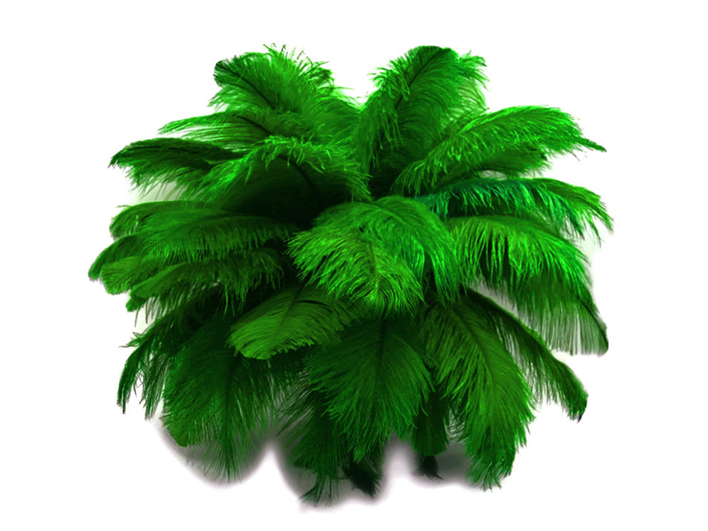 10 Pieces - 17-19" Kelly Green Large Bleached & Dyed Ostrich Drabs Body Feathers