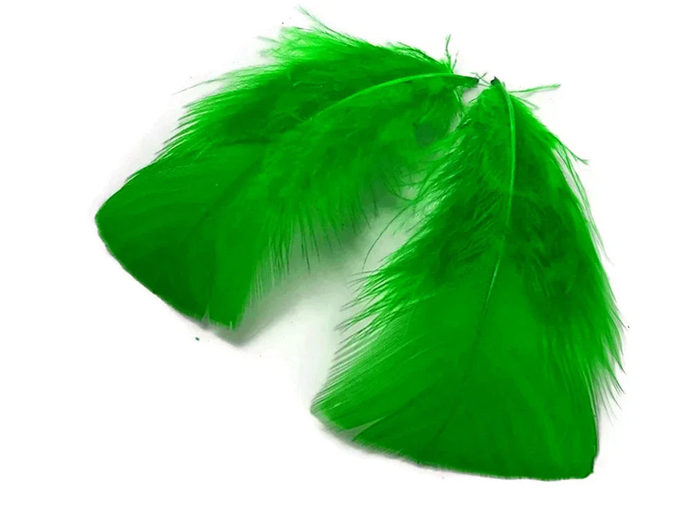 Two vibrant green craft feathers for DIY fashion and decor projects.