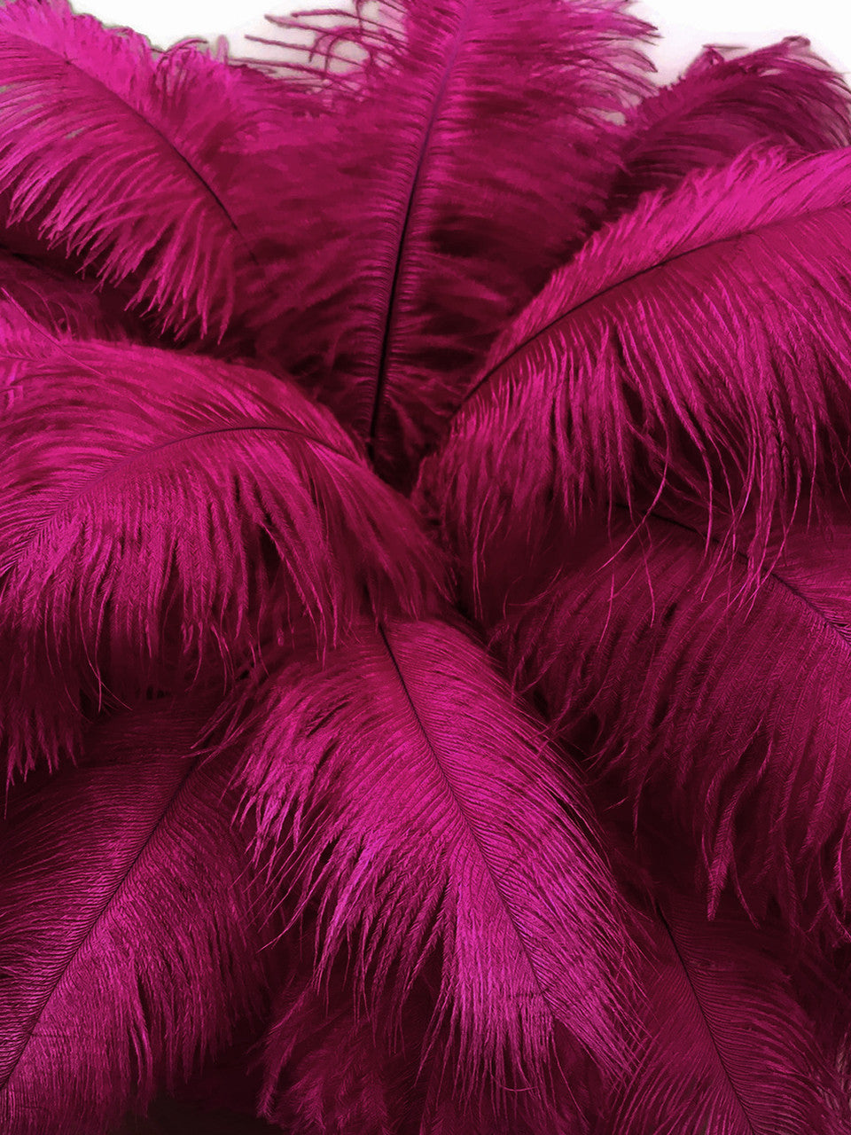 10 Pieces - 14-17" Magenta Ostrich Dyed Drab Body Feathers