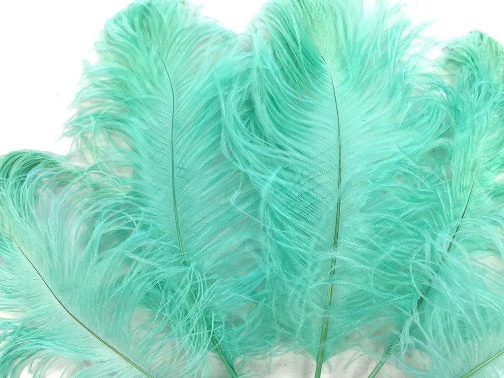 10 Pieces - 12-16" Mint Green Dyed Ostrich Tail Fancy Feathers