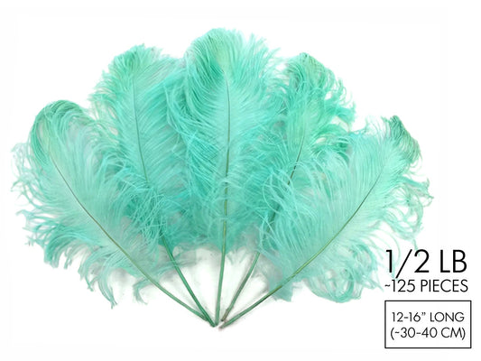 1/2 Lb - 12-16" Mint Green Ostrich Tail Wholesale Fancy Feathers (Bulk)