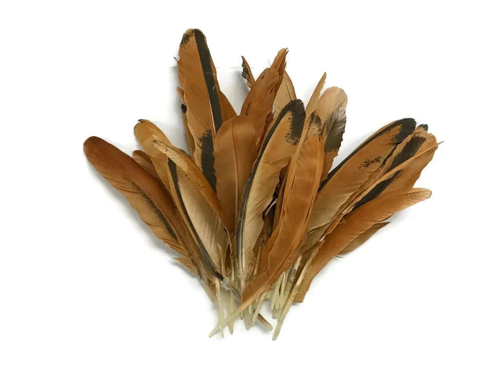 Natural brown and black patterned craft feathers for DIY fashion and decor.