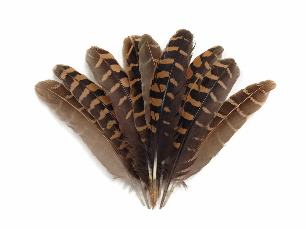 Natural brown and tan striped bird feathers for DIY crafts and fashion decor.