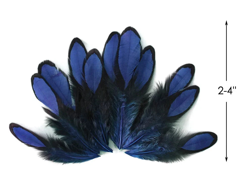 Vibrant blue and black feathers for DIY crafts and fashion decor, 2-4 inches in size.