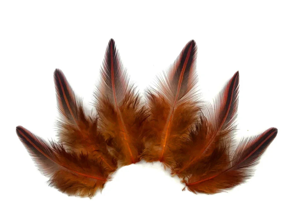 Natural brown and red patterned feathers for DIY crafts and fashion decor.