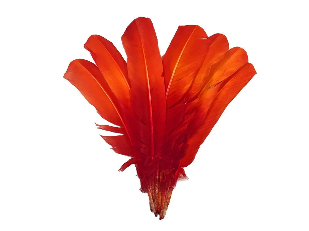 Vibrant red feathers for DIY crafts and fashion accessories on a white background.