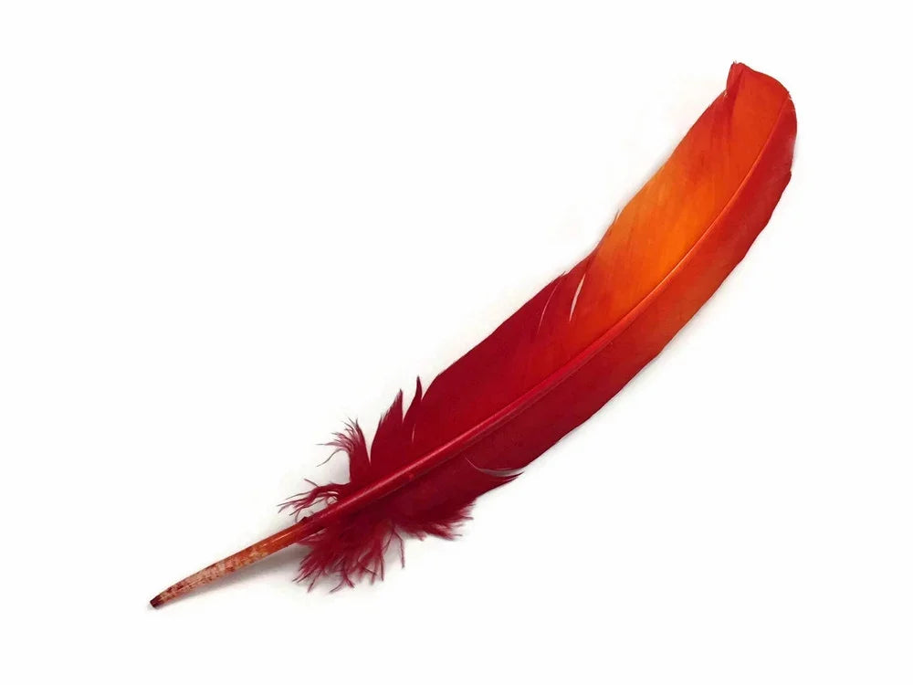 Vibrant red and orange dyed feather for crafts and fashion DIY supplies.