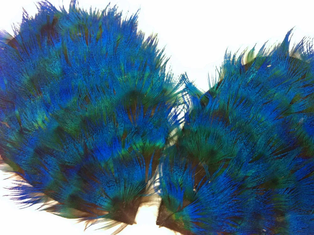 Vibrant blue and green iridescent peacock feathers for crafts and fashion DIY projects.