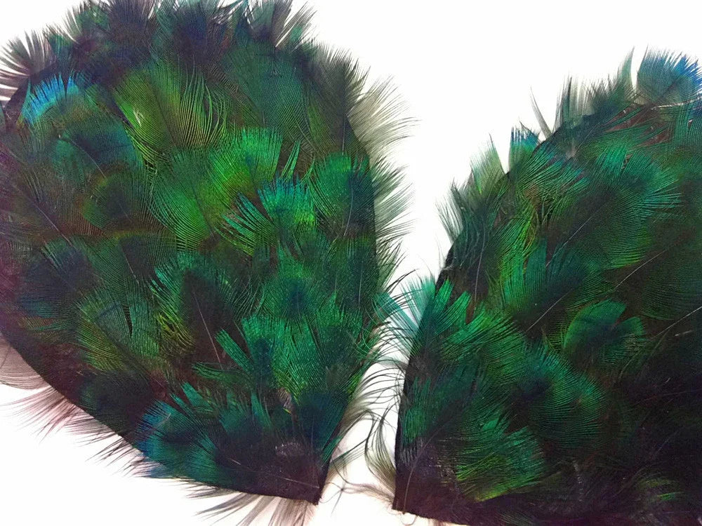Iridescent green and blue peacock feathers for DIY crafts and fashion décor.
