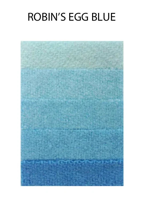 Robin's egg blue color palette swatch showing various shades of light teal and blue.