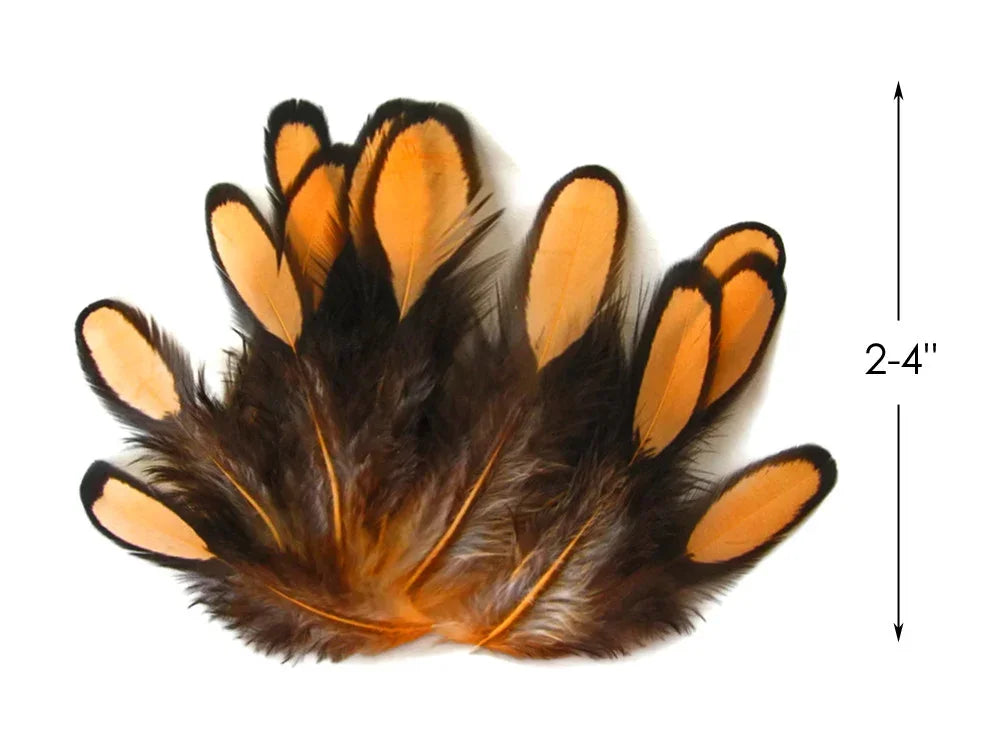 Orange and black decorative feathers for crafts and DIY fashion, 2-4 inches long.