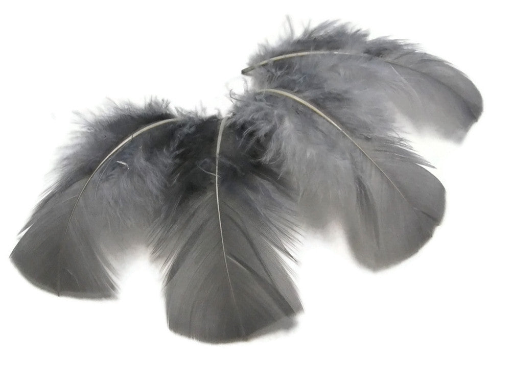 1/4 Lb - Grey Turkey T-Base Wholesale Body Plumage Feathers (Bulk)