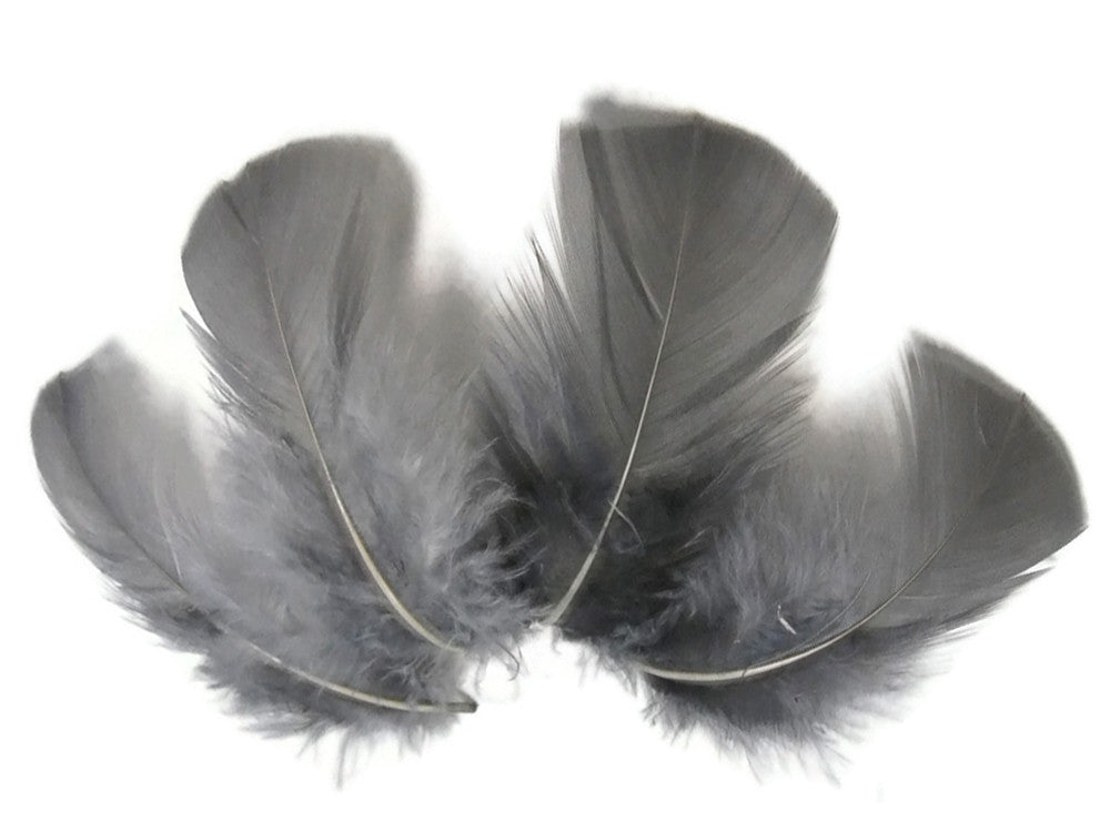 1/4 Lb - Grey Turkey T-Base Wholesale Body Plumage Feathers (Bulk)