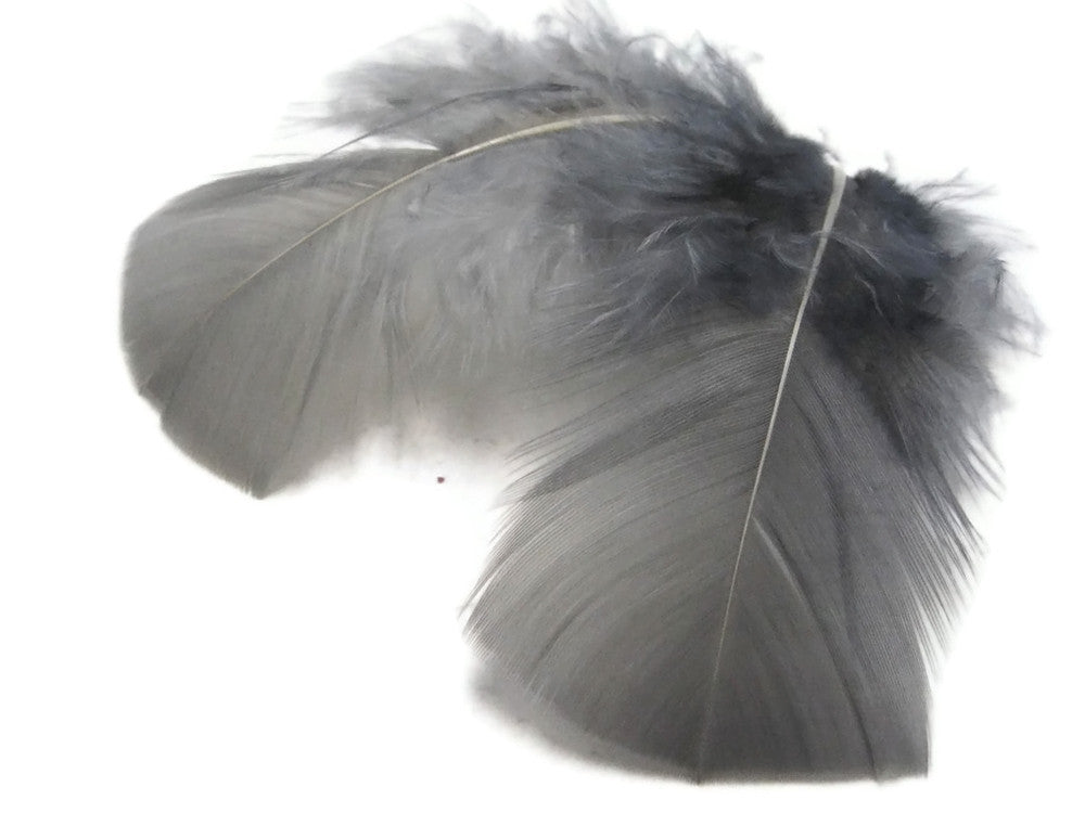 1/4 Lb - Grey Turkey T-Base Wholesale Body Plumage Feathers (Bulk)