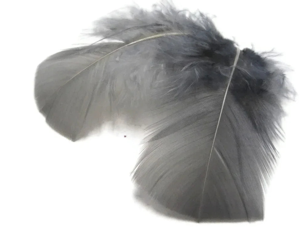 Soft grey feathers for DIY crafts and fashion accessories on a white background.
