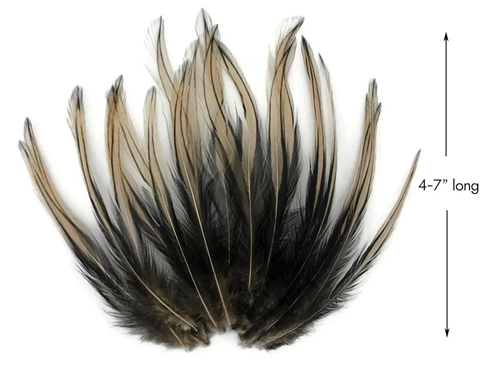 Natural black and tan feathers for crafts and fashion, 4-7 inches long.