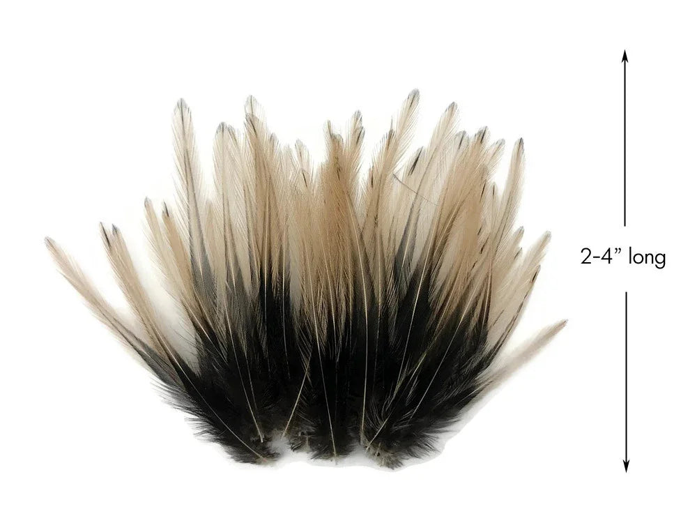 Natural tan and black feathers for DIY crafts and fashion decor, 2-4 inches long.