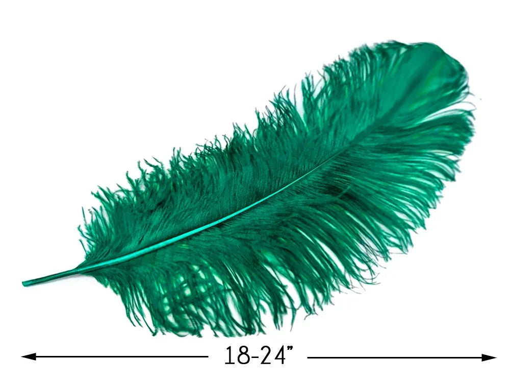 Large emerald green ostrich feather for crafts and fashion decor, 18-24 inches long