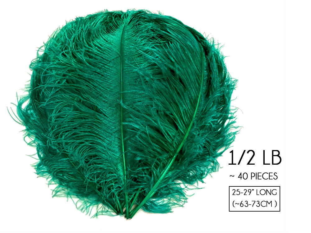 1/2 Lb. - 25-29" Teal Green Large Ostrich Wing Plume Wholesale Feathers (Bulk)