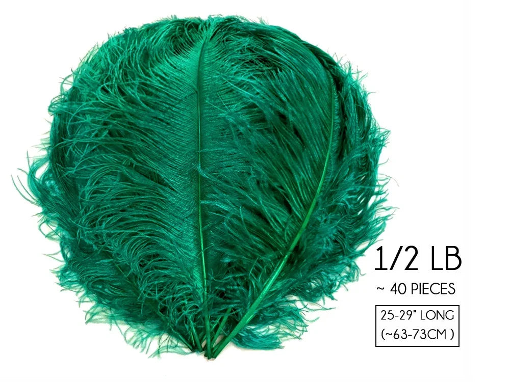 Vibrant green ostrich feathers for crafts and fashion decor, 25-29 inches long.