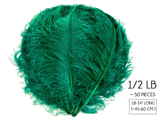 1/2 Lb. - 18-24" Teal Green Large Ostrich Wing Plume Wholesale Feathers (Bulk)