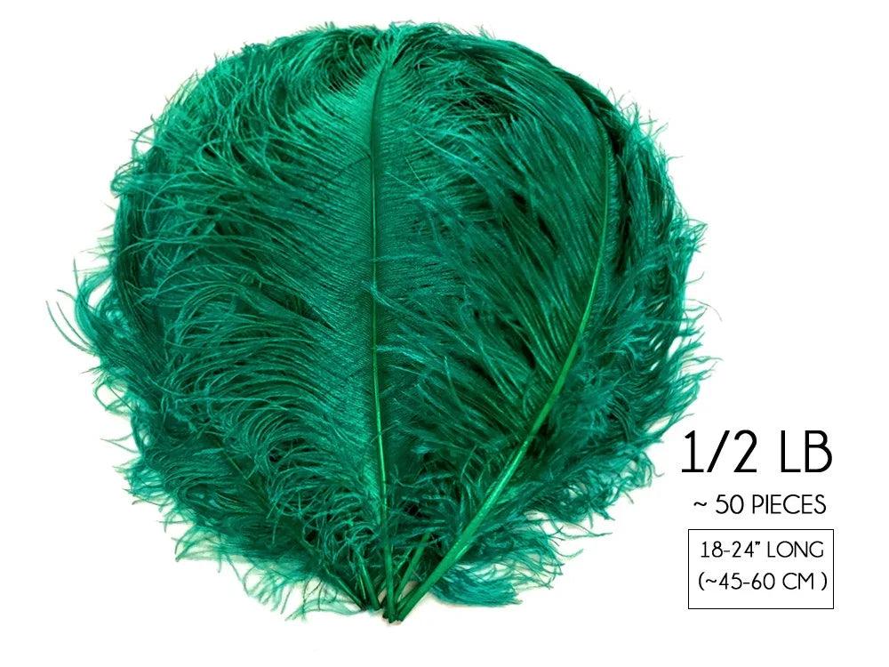 Vibrant green ostrich feathers for crafts and fashion decor, 18-24 inches long.