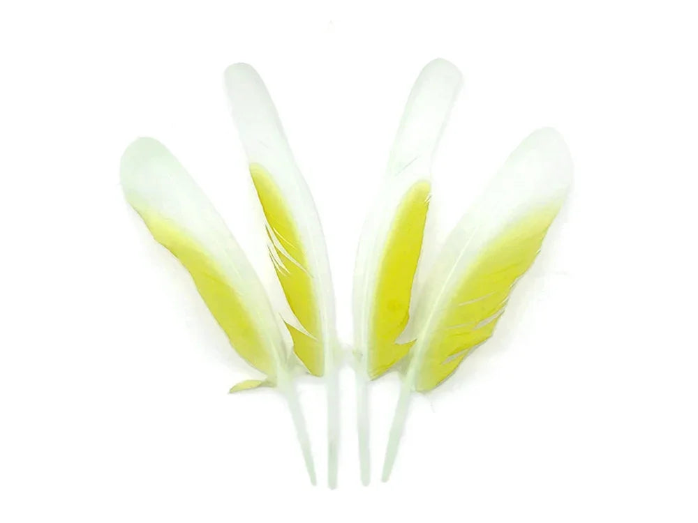 Four white and yellow dyed feathers for craft and fashion DIY supplies.