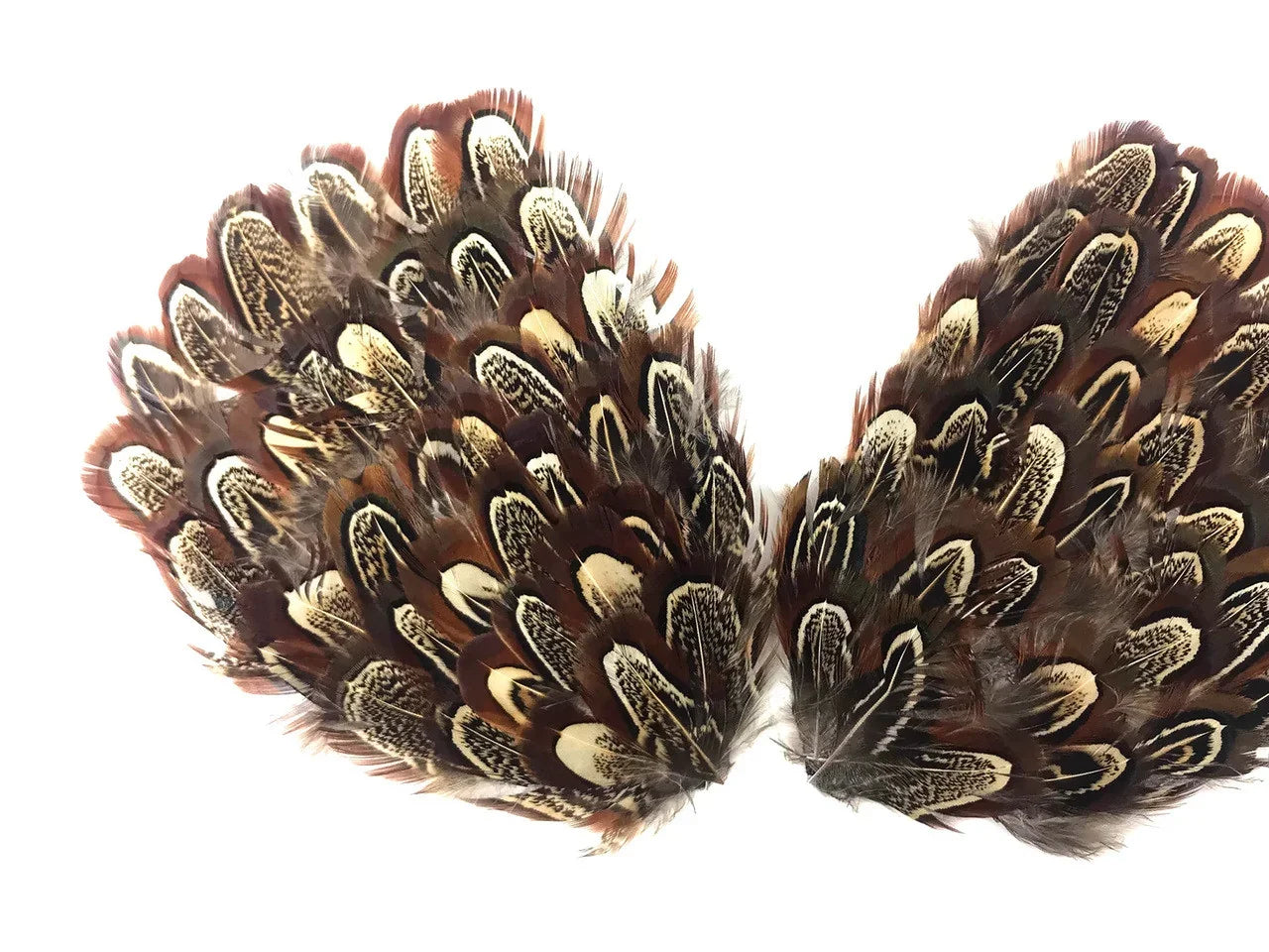 Brown and cream patterned decorative feather wings for DIY crafts and fashion accessories.